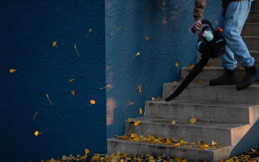 Boost Your Home’s Curb Appeal with Bee Maids’ Professional Cleaning Services