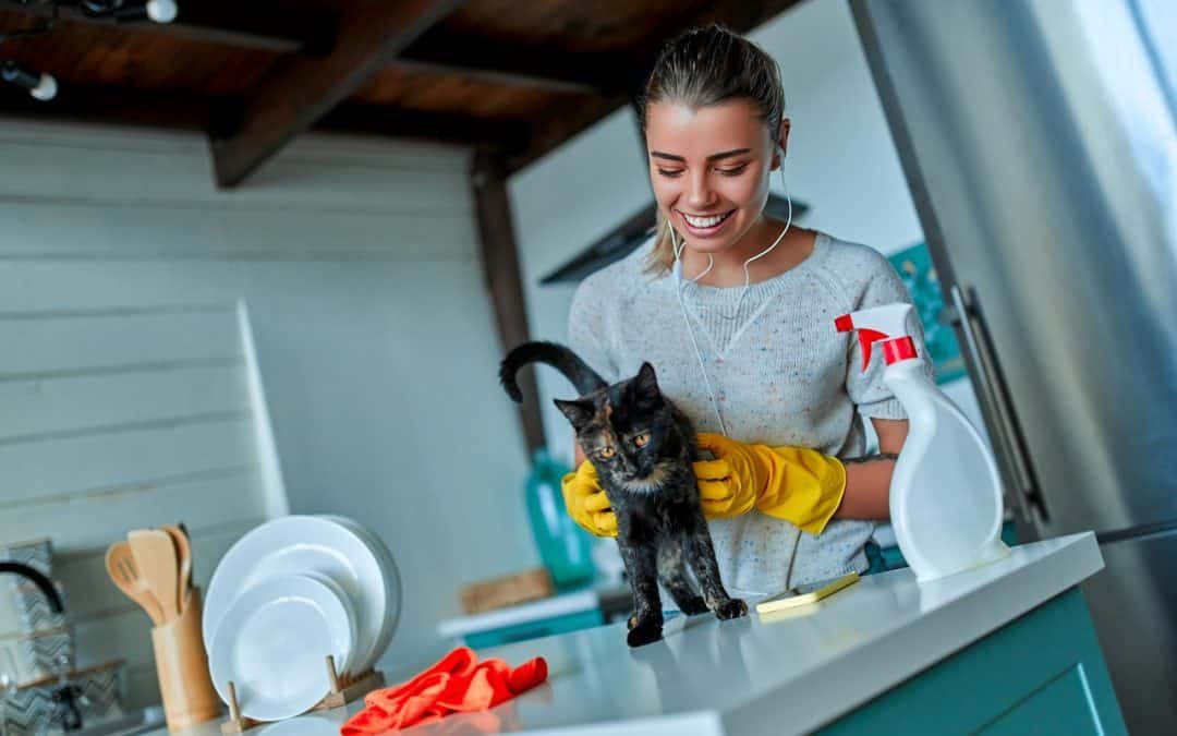 Creating a Pet-Friendly Clean Home: How Bee Maids Caters to Pet Owners and Their Furry Friends