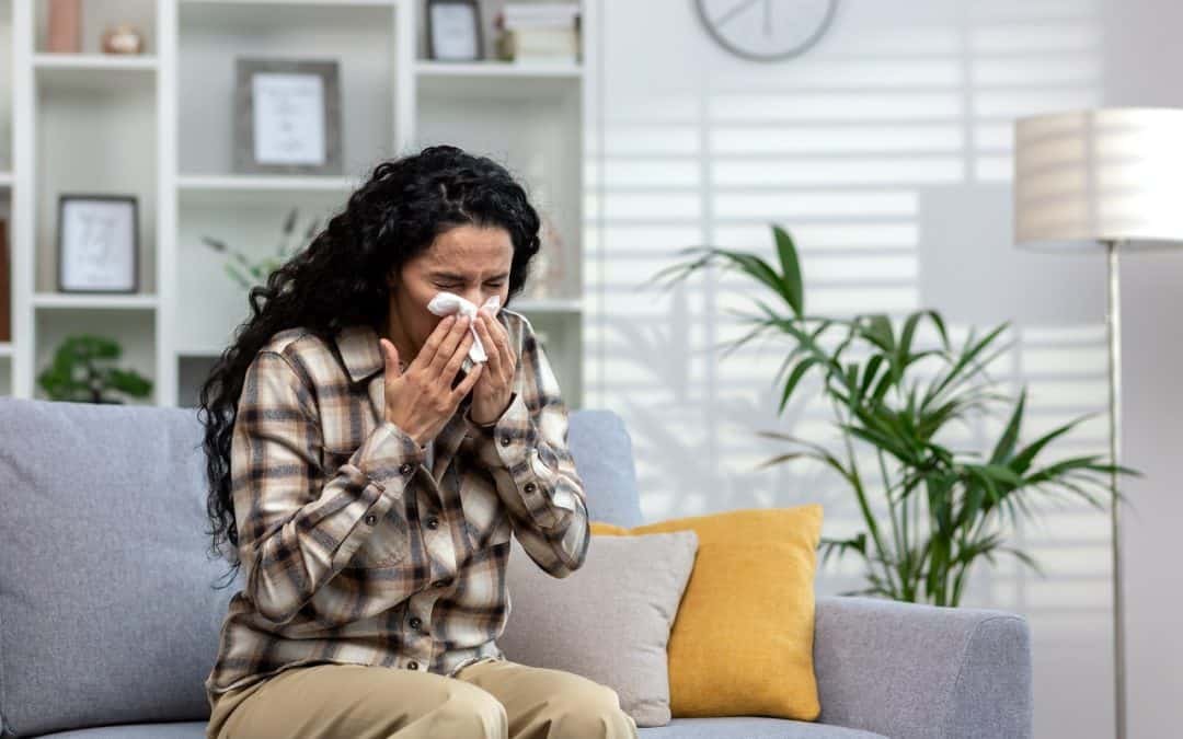 Allergy-Proof Your Home: Bee Maids’ Professional Cleaning Services for Enhanced Indoor Air Quality